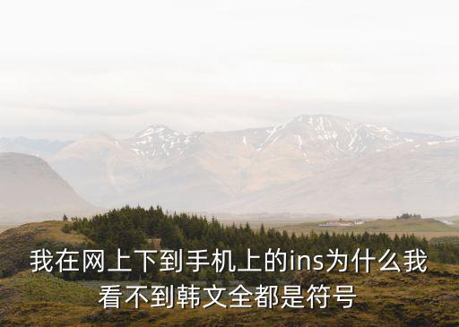 我在网上下到手机上的ins为什么我看不到韩文全都是符号