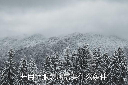 时尚电商需要什么条件能做，做电子商务必须具备哪些条件