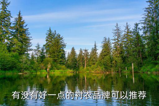 什么大牌衬衫时尚，高档男士衬衫品牌大全