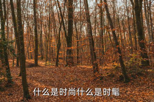 什么是时尚效应，RV5什么是品牌作用的时尚效应0郭汉尧