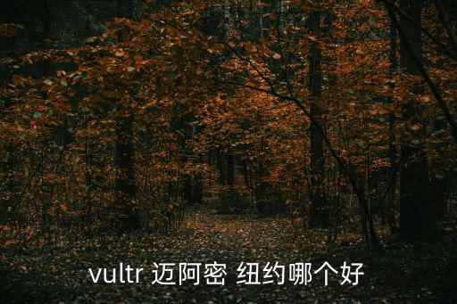 vultr 迈阿密 纽约哪个好