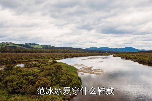 范冰冰爱穿什么鞋款