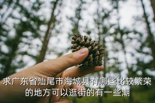 海城哪个商场卖时尚衣服，西柳服装批发市场在哪