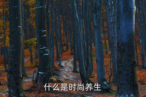 什么是时尚养生，有什么比较养生又比较时尚的东西吗
