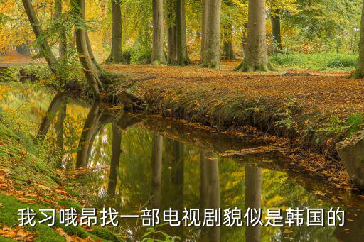 我习哦昂找一部电视剧貌似是韩国的
