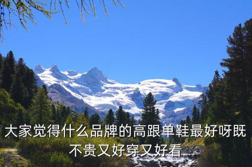 大家觉得什么品牌的高跟单鞋最好呀既不贵又好穿又好看