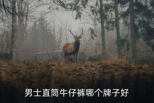 男士直筒牛仔裤哪个牌子好