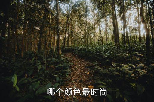 哪个颜色最时尚