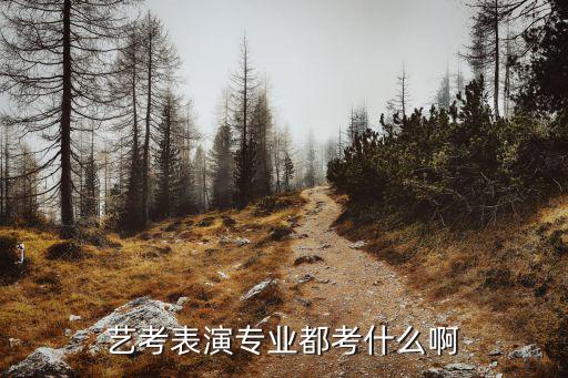 艺考表演专业都考什么啊