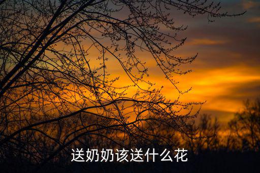 60岁时尚奶奶送什么花，60岁女人的生日送什么花
