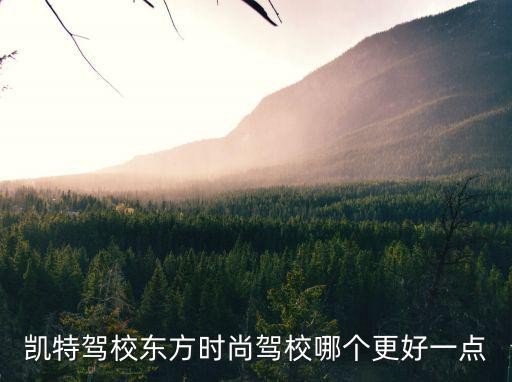 驾校东方时尚哪个好，东方时尚和京东这两个驾校哪个好