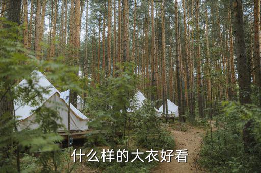 什么样的大衣好看