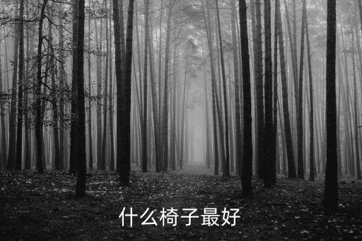 什么椅子最好