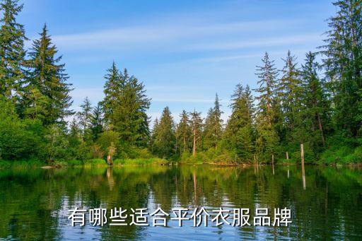 哪个是平价时尚品牌，有哪些适合平价衣服品牌