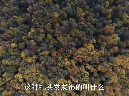 这种扎头发发饰的叫什么
