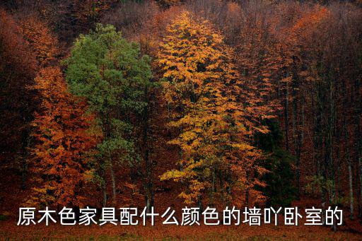 原木色家具配什么颜色的墙吖卧室的