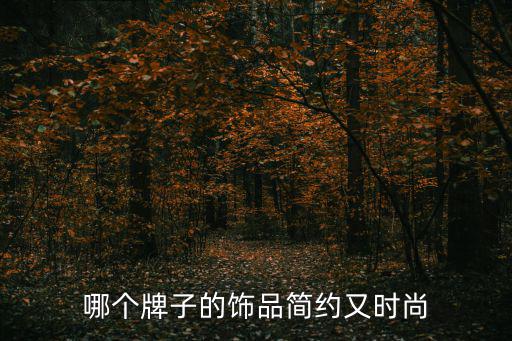 哪个牌子的饰品简约又时尚