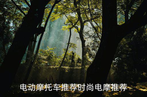 时尚版电动摩托选择哪个，想买辆电动摩托 时尚的 比较好的什么牌子的好