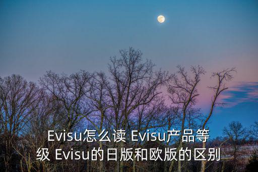 Evisu怎么读 Evisu产品等级 Evisu的日版和欧版的区别