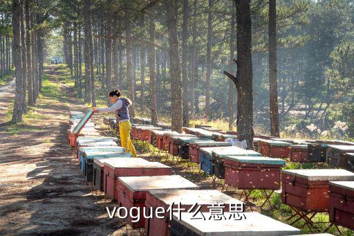vogue什么意思