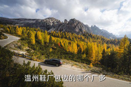 温州鞋厂包边的哪个厂多