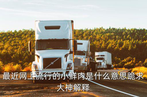 时尚小鲜肉是什么意思，最近网上流行的小鲜肉是什么意思跪求大神解释