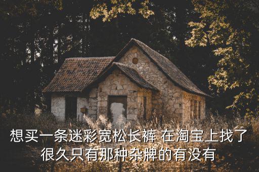 想买一条迷彩宽松长裤 在淘宝上找了很久只有那种杂牌的有没有