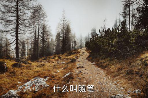 什么叫随笔