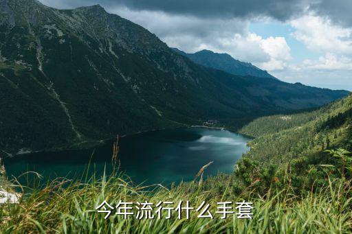 今年流行什么手套