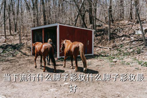 时尚妆容哪个牌子好看，现在用什么牌子的化妆最时尚