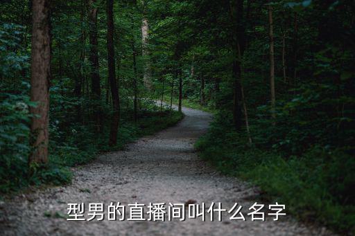 型男的直播间叫什么名字
