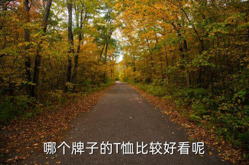 哪个牌子的T恤比较好看呢