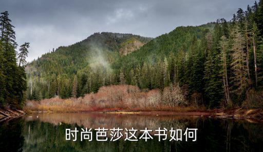 时尚芭莎这本书如何