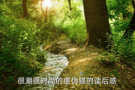 很潮很时尚的虚伪猫的读后感