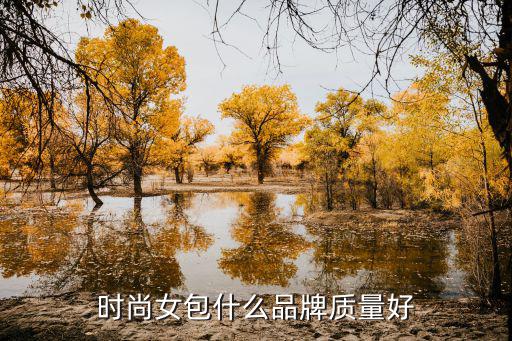时尚女包什么品牌质量好