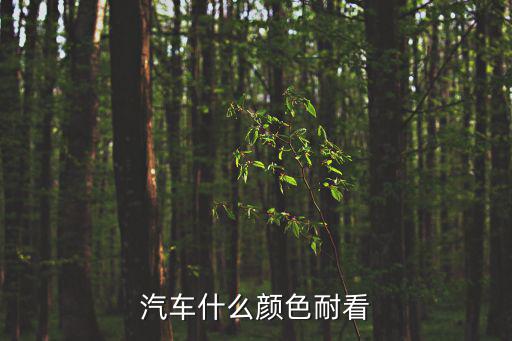 欧拉哪个颜色耐看时尚，长城欧拉R1女神版有几种可选的颜色