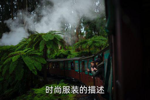 时尚服装的描述