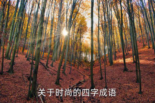 关于时尚的四字成语