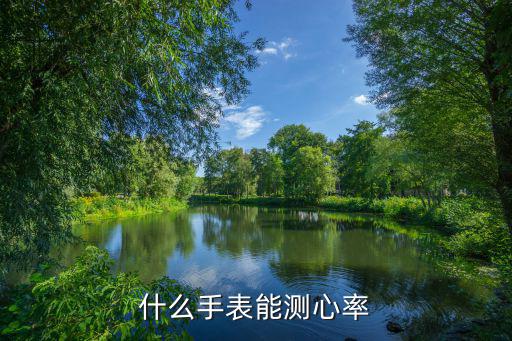 什么手表能测心率