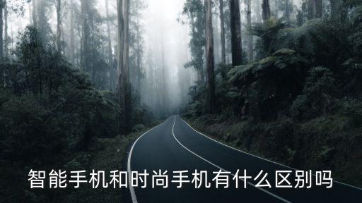 智能手机和时尚手机有什么区别吗