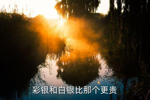 彩银和白银比那个更贵