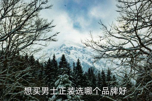 男士时尚西装哪个牌子好，能不能告诉我什么牌子的男士正装比较好