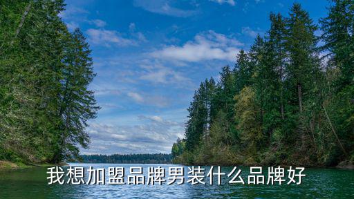 我想加盟品牌男装什么品牌好