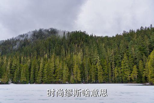 时尚sosmo是什么，时尚是什么