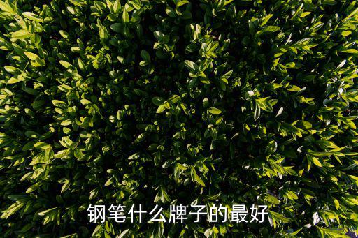 钢笔什么牌子的最好