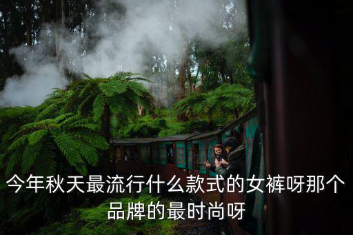 今年秋天最流行什么款式的女裤呀那个品牌的最时尚呀