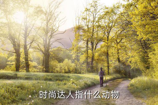 时尚达人指什么动物