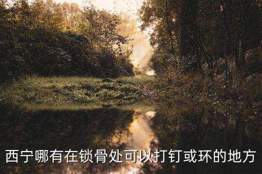时尚老太在哪个地方，西宁哪有在锁骨处可以打钉或环的地方