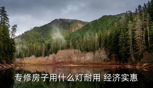 专修房子用什么灯耐用 经济实惠