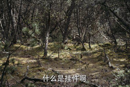 什么是挂件啊